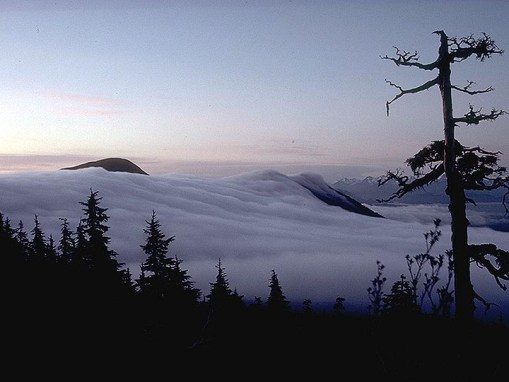 Acid precipitation in southeast Alaska