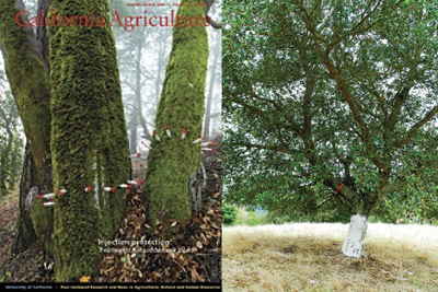 AZO vs Phosphonate Aesthetics of phosphonate (left) vs mineral (right) treatments