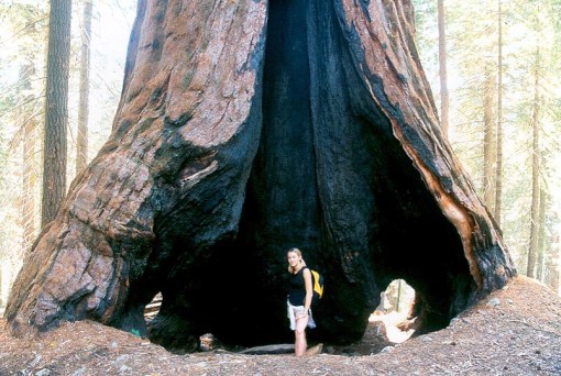 Huge fire scar Huge fire scar