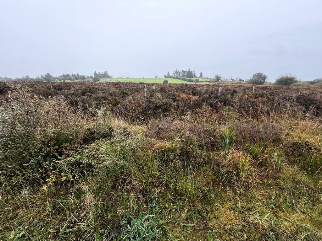 Creagan Bog, northern Ireland